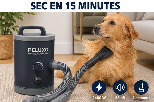 Photo produit générée par SellerScale : séchoir souffleur pour chien PELUXO, avec ses arguments incrustés